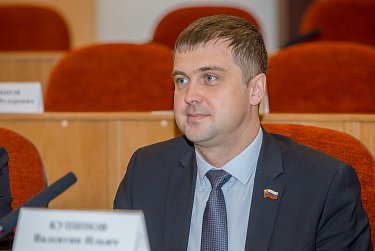 Депутаты приняли отчет полиции 
